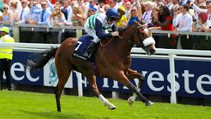Cloudy, slight wind and drizzle at times. Rest Of Epsom Derby Day Le Don The One