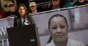 Kerina Ibarra, J.D., LL.M., Ph.D.