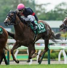 20:33 江分輪太 11 657 просмотров. 2