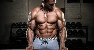 When your body repairs them, they get bigger and stronger. How To Get Bigger Arms Anatomy Exercises Technique Myprotein