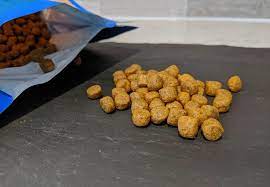 Wild Earth Dog Food Review Vegan Perfection Woof Whiskers