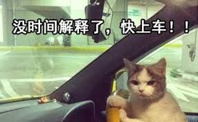 沒時間解釋了，快上車- 萌娘百科萬物皆可萌的百科全書