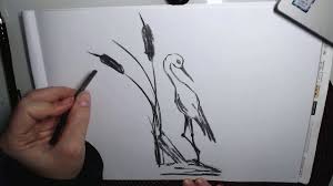 Trandafirul este o plantă perenă lemnoasă cu flori ce face parte din genul rosa, din familia rosaceae. Desen In Creion Cu Un Cocostarc How To Draw A Stork In Pencil Youtube
