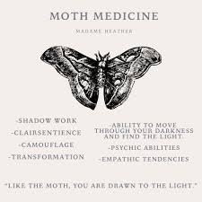 Black And White Butterfly Spiritual Meaning Moth Spirit Animal In 2020 Butterfly Spirit Animal Spirit Animal Totem Spirit Animal