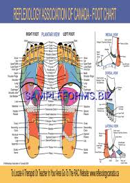 Foot Reflexology Chart Pdf Free 1 Pages