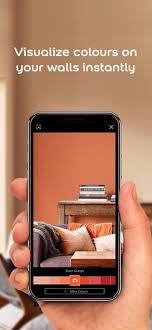 Dulux Visualizer On The App