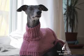 Maybe you would like to learn more about one of these? Hand Knitted Dusky Rose Whippet Jumper Greyhound Italian Lurcher