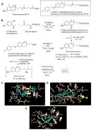 Synthesis of a novel polycerasoidol analogue with pan-PPAR agonism:  anti-inflammatory effects and improvement of metabolic derangements in  ob/ob mice