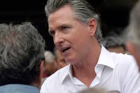 Election 2024 Biden Newsom