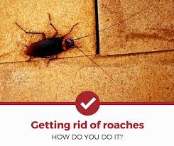 how to get rid of roaches plete