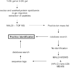 typical flow chart for the analysis of proteomes by mass