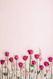 Flower hd phone wallpapers download free background images collection, high quality beautiful flowers wallpaper for your mobile phone. Pin By Airarunee On Flower Backgrounds In 2021 Flower Wallpaper Flower Backgrounds Pink Background