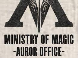What Job Will You Get In The Harry Potter World Ministry Of Magic Harry Potter World Harry Potter Wiki