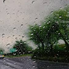 Karen Woods Peintures Hyper Realistes Peinture Realiste