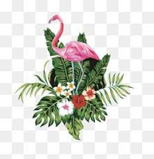 النحام Png المتجهات Psd قصاصة فنية تحميل مجاني Pngtree Watercolor Flowers Paintings Free Watercolor Flowers Flower Png Images