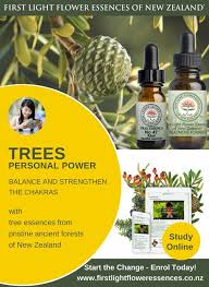 drumroll where the beat goes out our 100th issue flowers of transformation study anywhere at you holistic healing personal power flower essences
