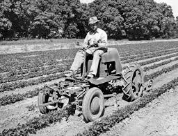 Image result for Mountain Brown 1934 Fleet