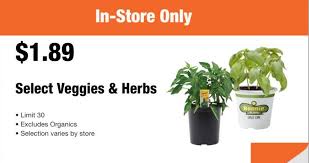 Get free shipping on qualified vegetable plants or buy online pick up in store today in the outdoors department. The Home Depot Bonnie Vegetable Herb Plants For 1 89 Southern Savers