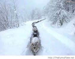 We did not find results for: Funny Quotes Sick Of Winter Quotesgram