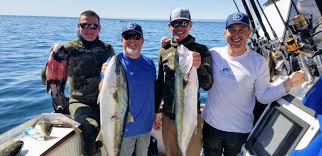 Spearfishing in azores in autumn of 2020 it's here! Ultimate Spearfishing Home Your One Stop Resource For Spearfishing