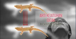 Check spelling or type a new query. 9 Arti Kejatuhan Cicak Menurut Islam Mitos Primbon Jawa Dan Ilmu Sains Dokumentasi Liestanti Anexia