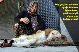 Zonguldak Ta Ayten Oktay Felcli Kopegini Esinin Ilaclariyla Yurutecek Gundem Haberleri