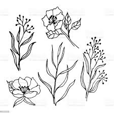Vetores De Ramos E Flores Da Primavera Linha Arte Desenho De Conjunto E Mais Imagens De Arranjo De Flores Istock