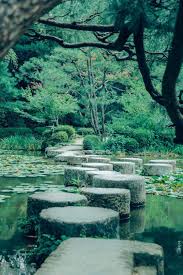 capturing calm and chaos in japan passion passport calming pictures calming photos relaxing images