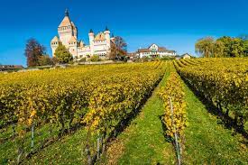 You can reduce stress while saving time and money. 15 Best Castles In Switzerland The Crazy Tourist