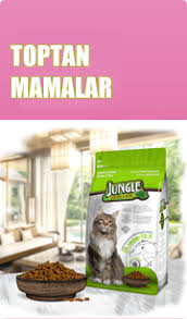 Turkiye Nin Toptan Pet Urunleri Pet Shop Malzemeleri Tedarikcisi