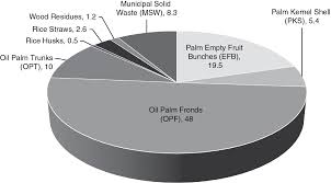 Municipal solid waste (msw) workers, particularly garbage collectors, are among the most highly exposed occupational groups with respect to health and however by doing this study, the municipal solid waste landfill especially in malaysia can improve the elements that unsafe to workers while. Towards Environmental And Economic Sustainability Via The Biomass Industry The Malaysian Case Study Chapter 8 Biochar