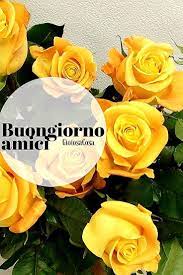 Abbiamo un sacco di grandi mazzi e bellissimi fiori singoli. Mazzo Di Fiori Buongiorno