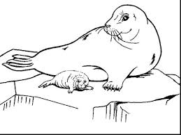 Pin by yescoloring coloring pages on fearless army coloring. Exclusive Picture Of Seal Coloring Pages Albanysinsanity Com Coloring Pages Lion Coloring Pages Animal Drawings