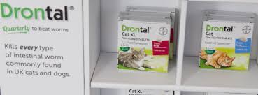 It does not affect encysted larvae. Treating Cat Fleas Worms In Cats Preventing Illness