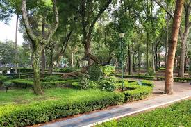 Image result for parque