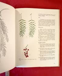 Flora arbórea de Chile". Roberto Rodríguez, Oscar Metthei, Max Quezada. Ed.  Universidad de Concepción, 1983. Buen estado, "tapas duras", sobrecubierta  ligeramente desgastada. 407 páginas, VENDIDO.