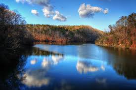 We did not find results for: Goose Point Campground Philpott Lake Va