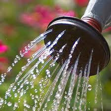 The lord will guide you always; You Will Be Like A Well Watered Garden Gospel On The Ground