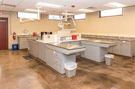 We did not find results for: Passion For Paws Veterinary Clinic Madison Veterinary Boarding Daycare Under One Roof
