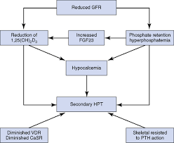 Image result for Hyperparathyroidism