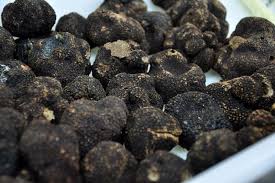 Truffes De La Maison Masse A Rungis Mets D Exception Gastronomie Foie Gras D Oie Foie Gras De Canard