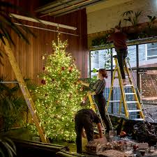 It S A Lovely Winter In Europe If You Re Selling Christmas Trees The New York Times A decorated evergreen tree has traditionally been used to celebrate winter festivals for thousands of years. selling christmas trees