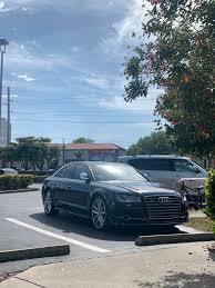 Image result for Argus Brown 2017 S8