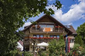 Panoramasicht auf den bodensee, die hegauberge und bei entsprechender weitsicht auch auf die alpen. Gaienhofen Horn Pensionen Unterkunfte Ab 76