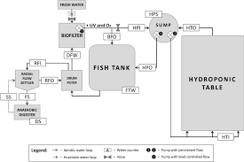 Nitrogen Transformations Across Compartments Of An Aquaponic System Sciencedirect