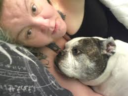 Abandoned cat named Mini needs care