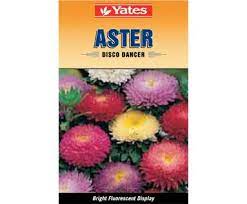Yates Disco Dancer Aster Flower Seeds Flowers Disco