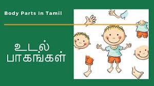 Body parts name in tamil and english : Body Parts In Tamil For Kids Youtube