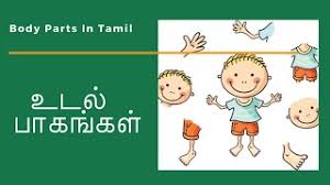 Here are some body parts names. Body Parts In Tamil For Kids Youtube