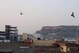Cool username ideas for online games and services related to freefire in one place. Govind Hotel Jodhpur Updated 2021 Prices